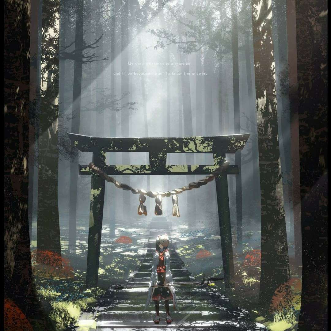 泉冬的观影集