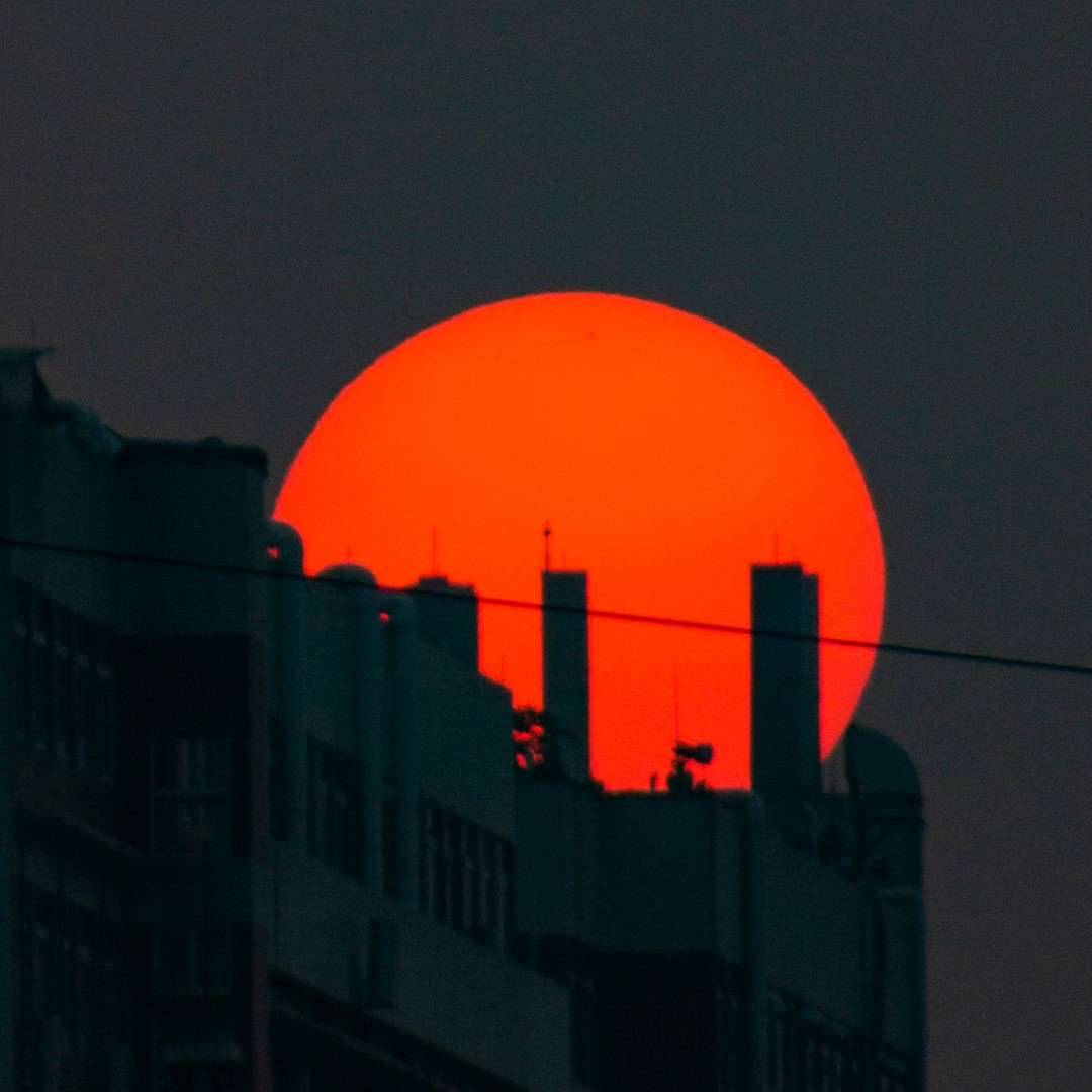 取名废