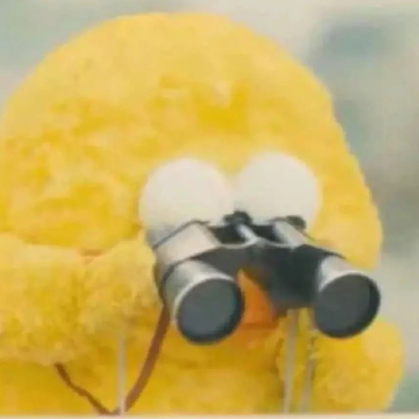 小说