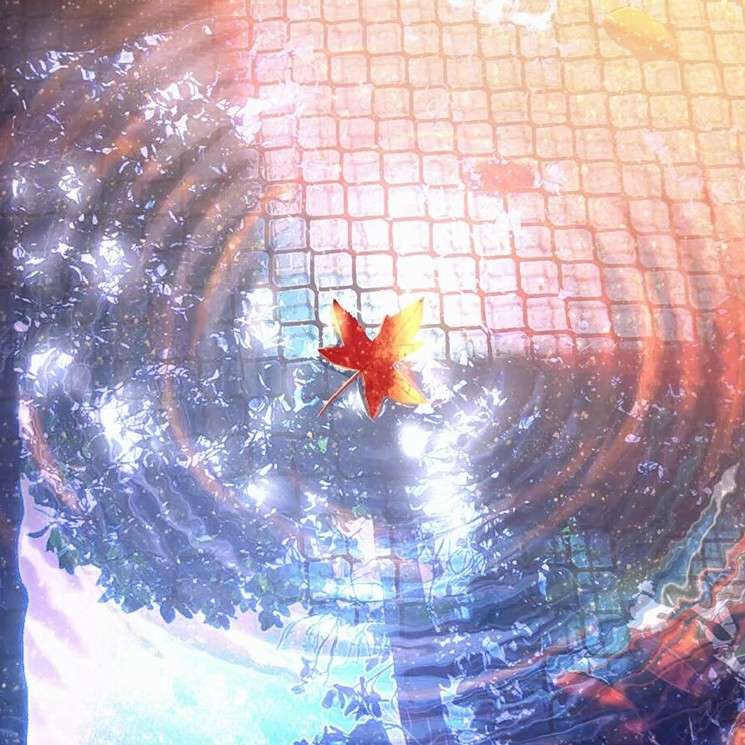 落枫🍁