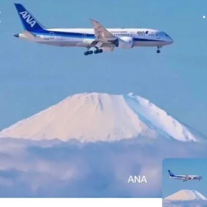 柚子等我