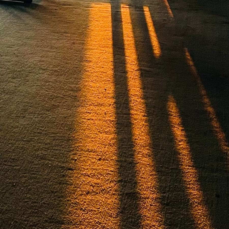 我的光