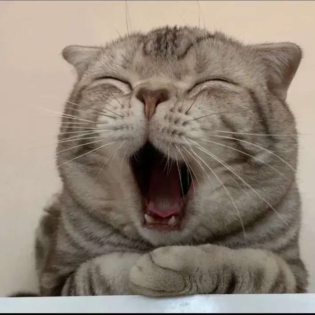 文案