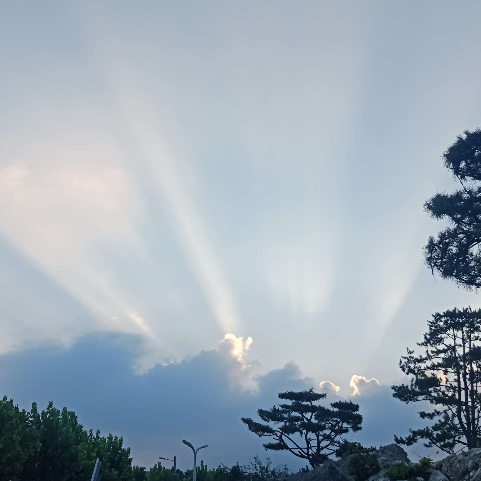 梦奇