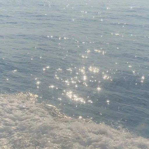 澄桉.的专辑