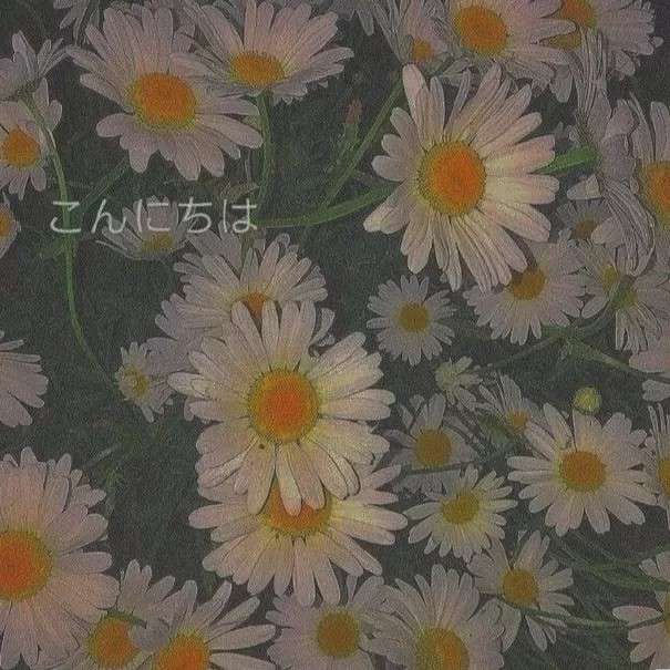 无名小姐的专辑