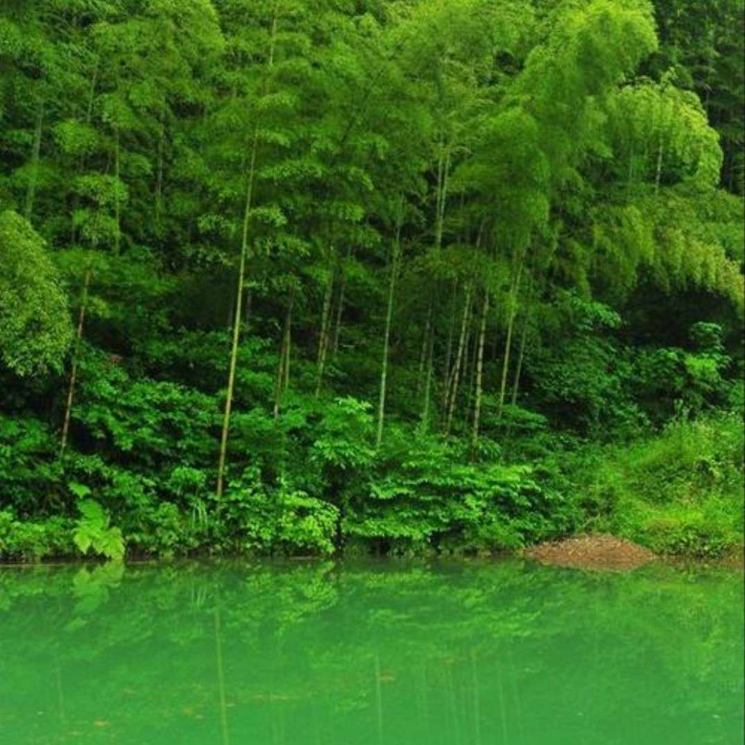 那条河叫时光