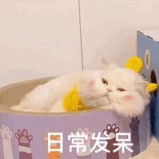 沙雕文案