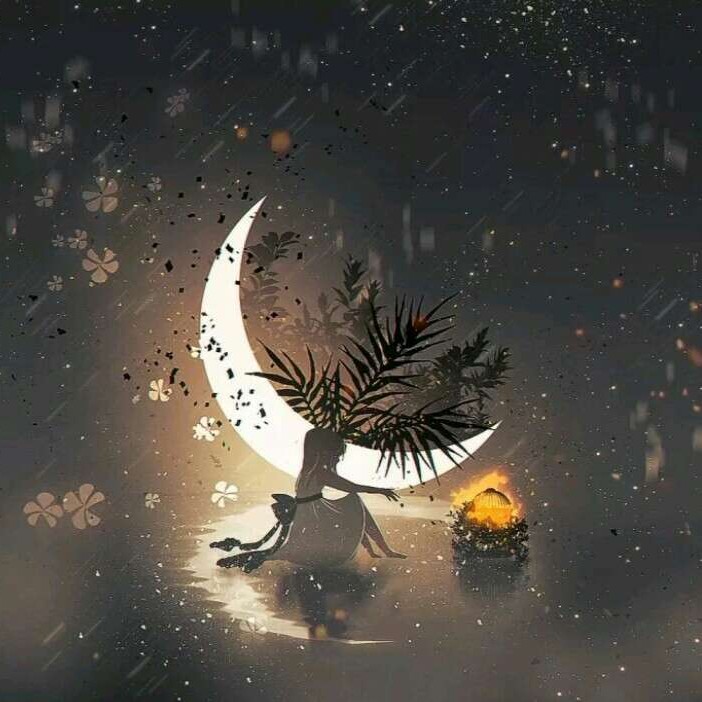 鸡汤🐔