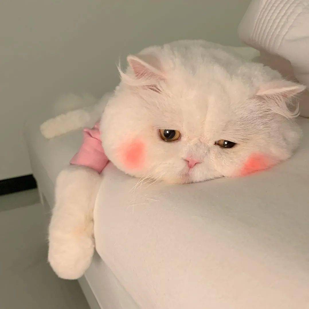 书摘
