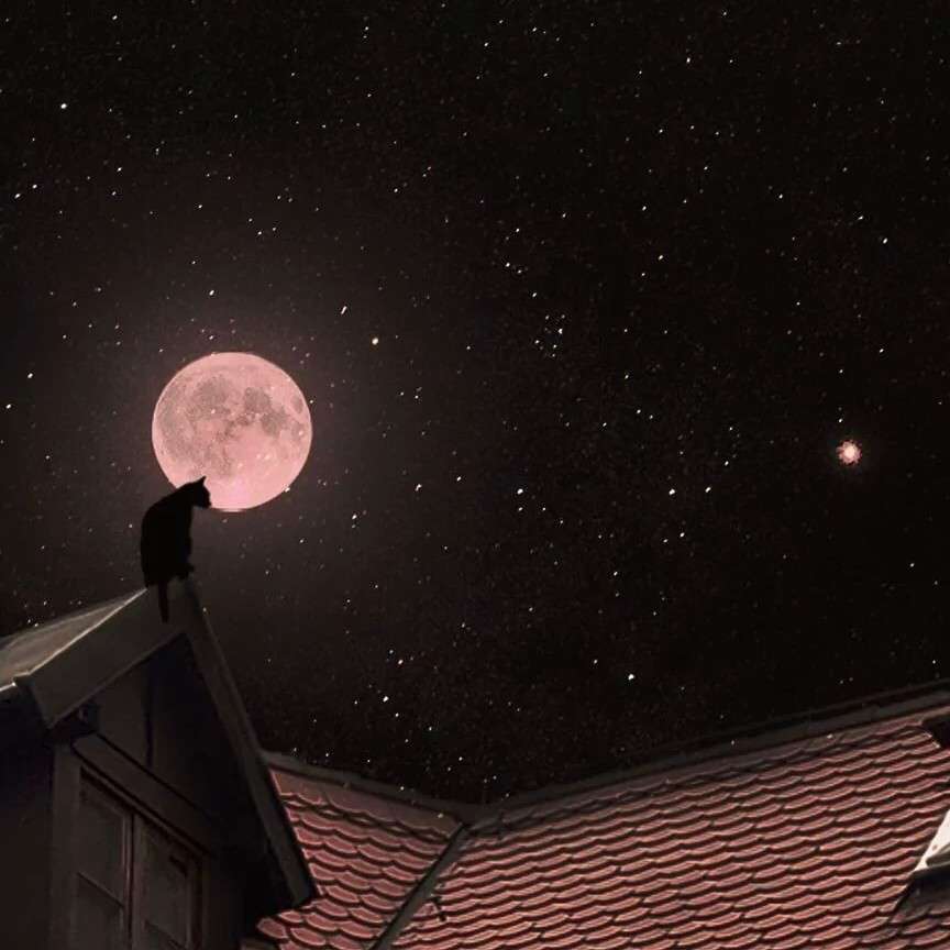 “我抓住了光，▁▁▁”