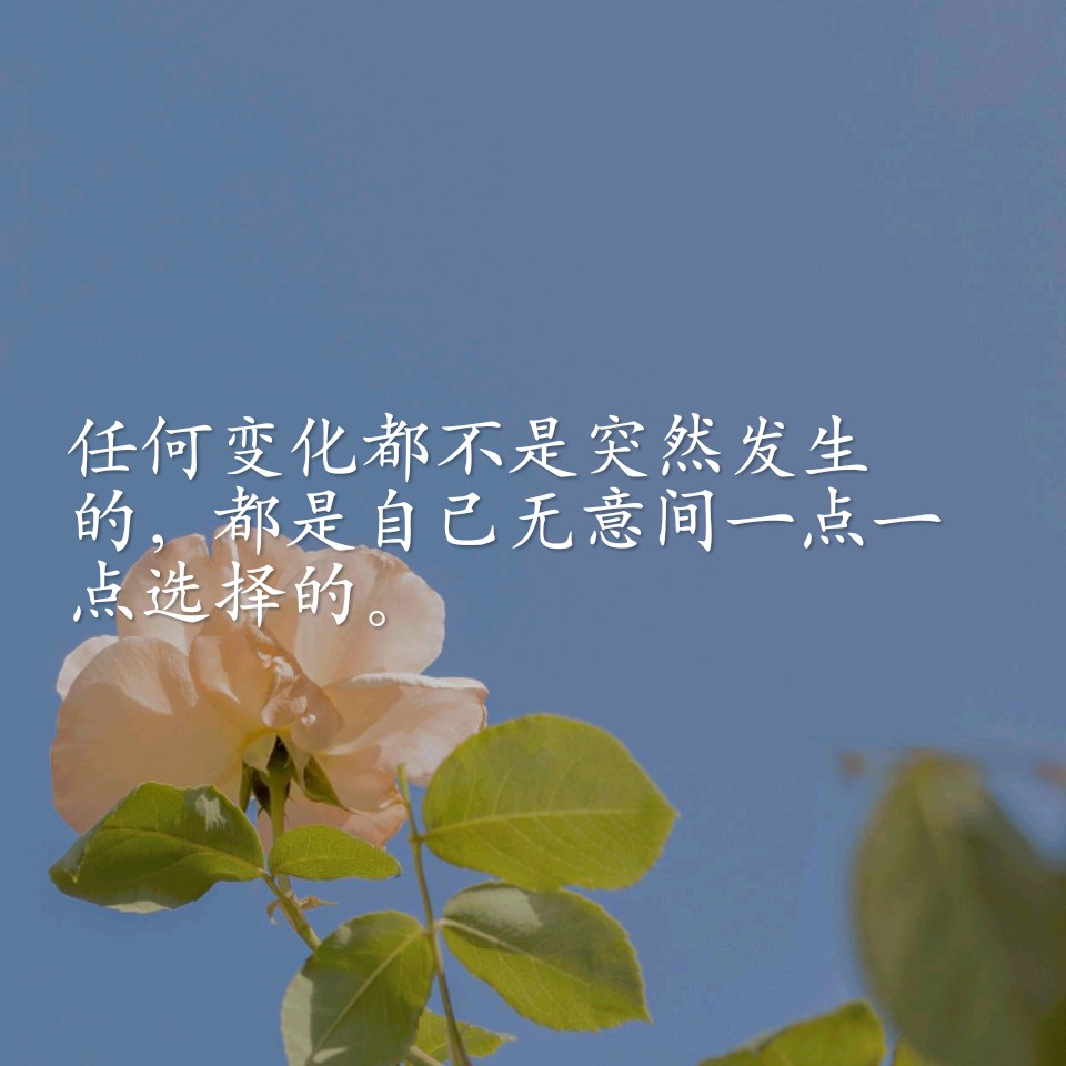 写进作文