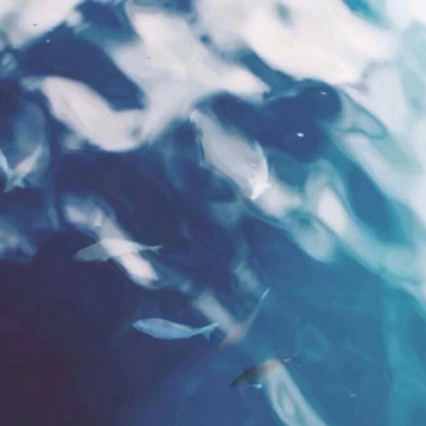 感悟