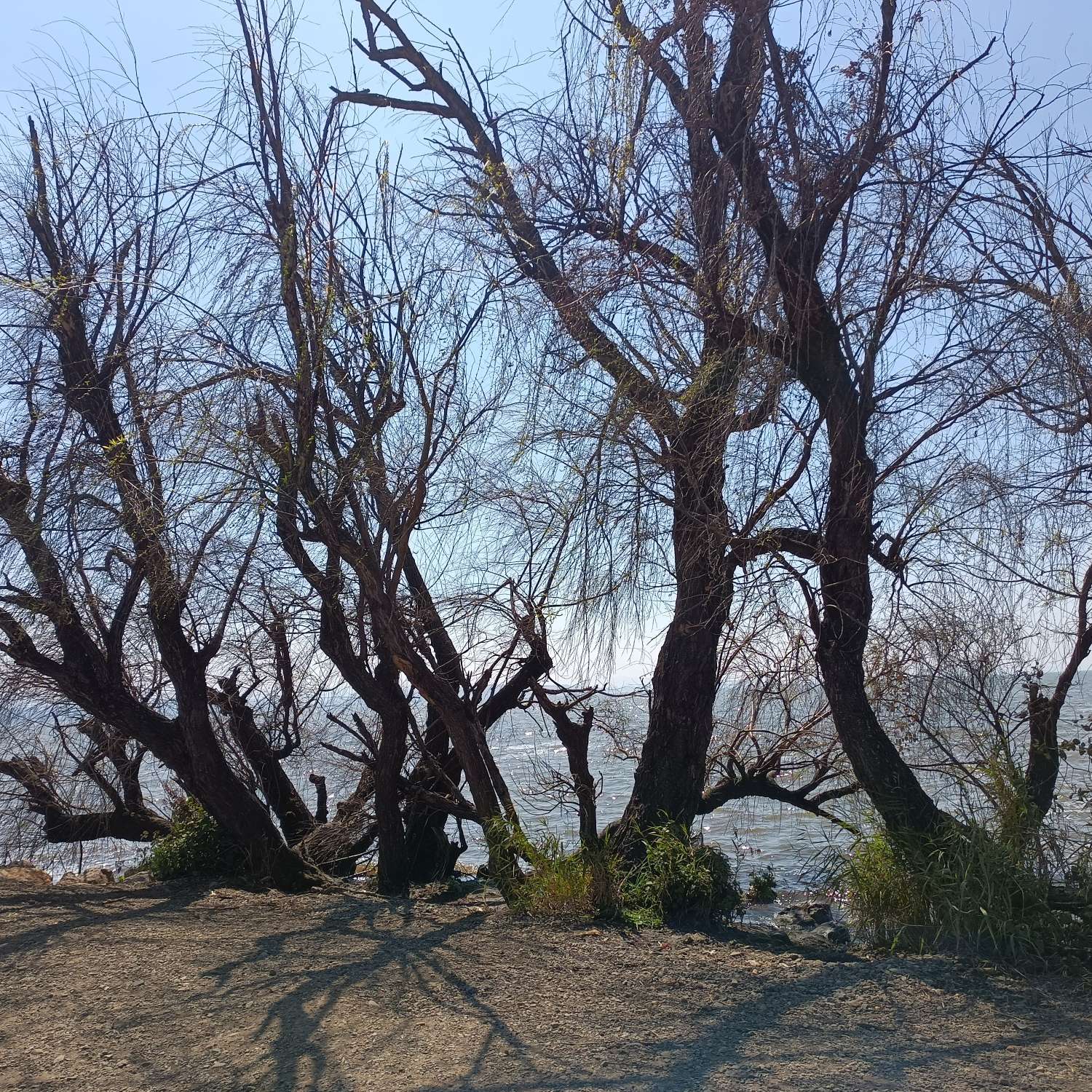 慕曦涵的专辑