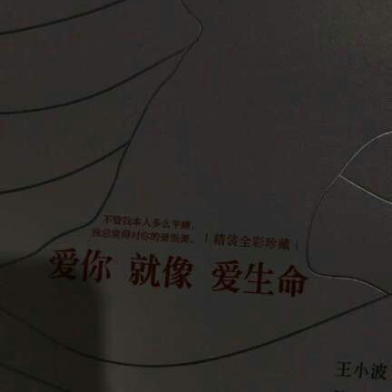情字不能碰