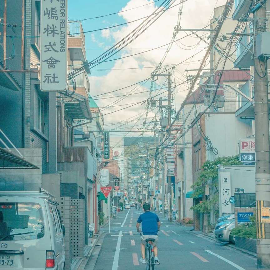 阅读摘抄