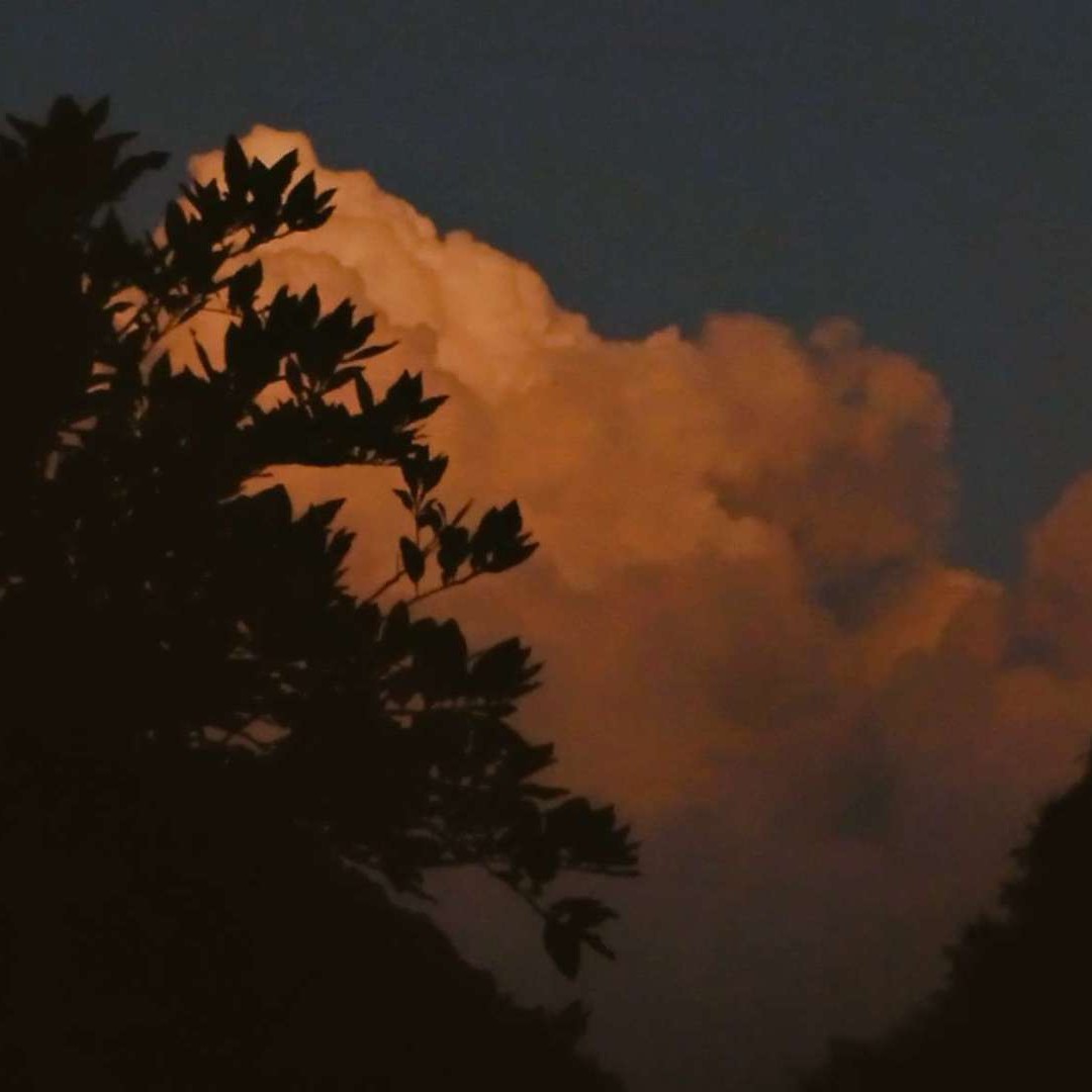 治愈系