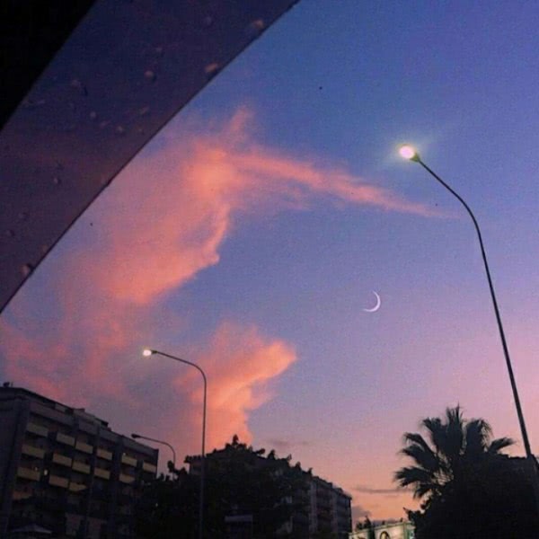 平凡的世界