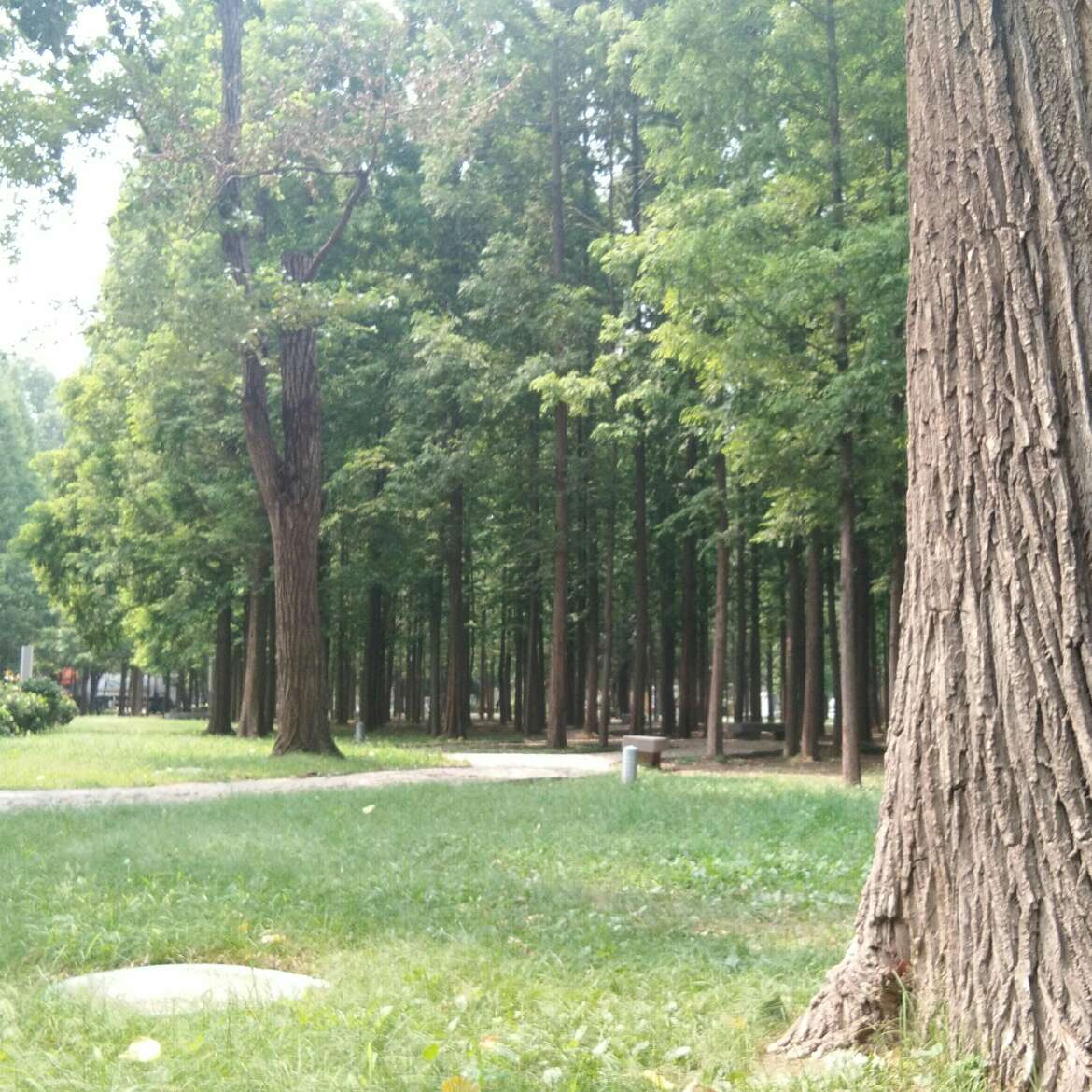 摘抄①