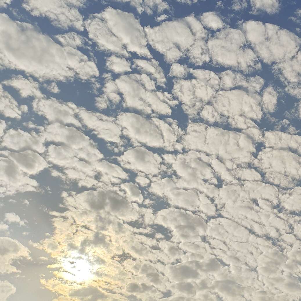 心理学