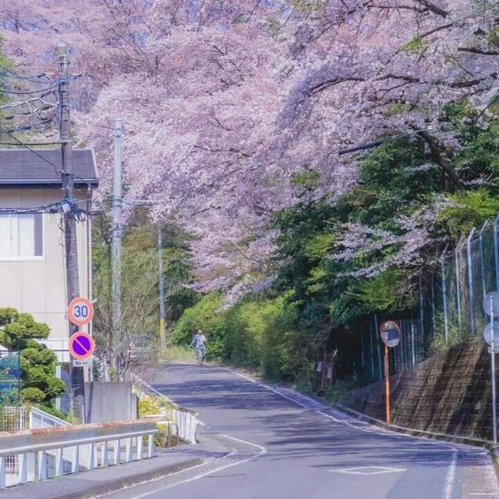 你好再见