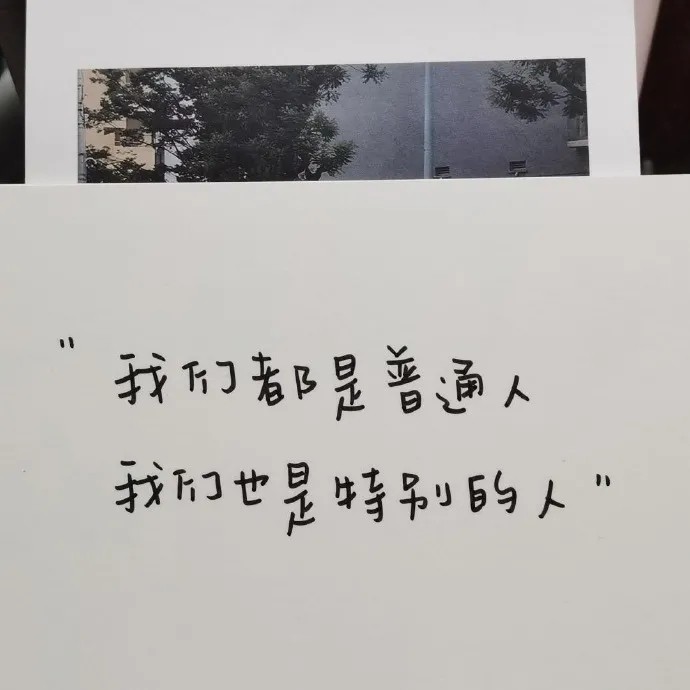 杂