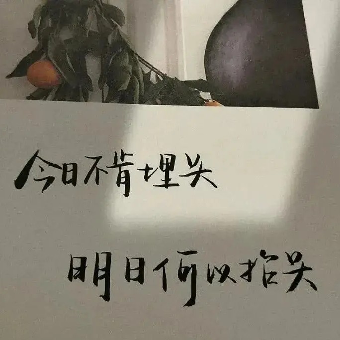 励志集丨挫折都只是为了一时让你偏离远方的错觉罢了。