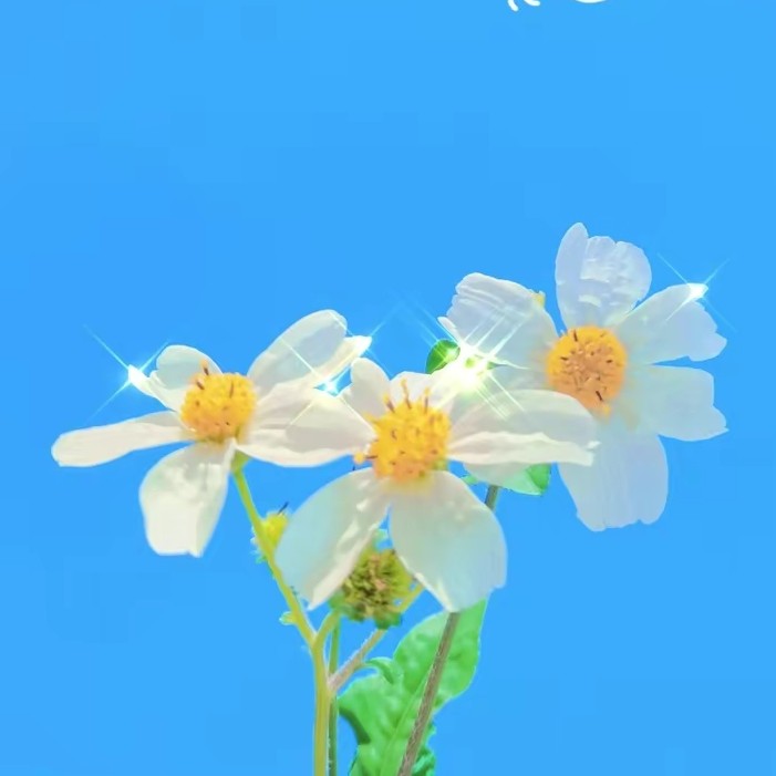 花语