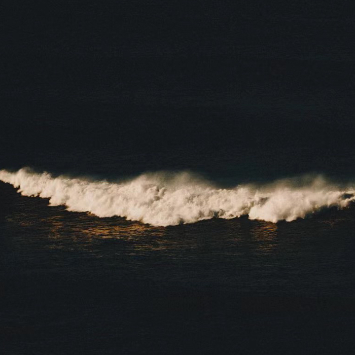 龙族