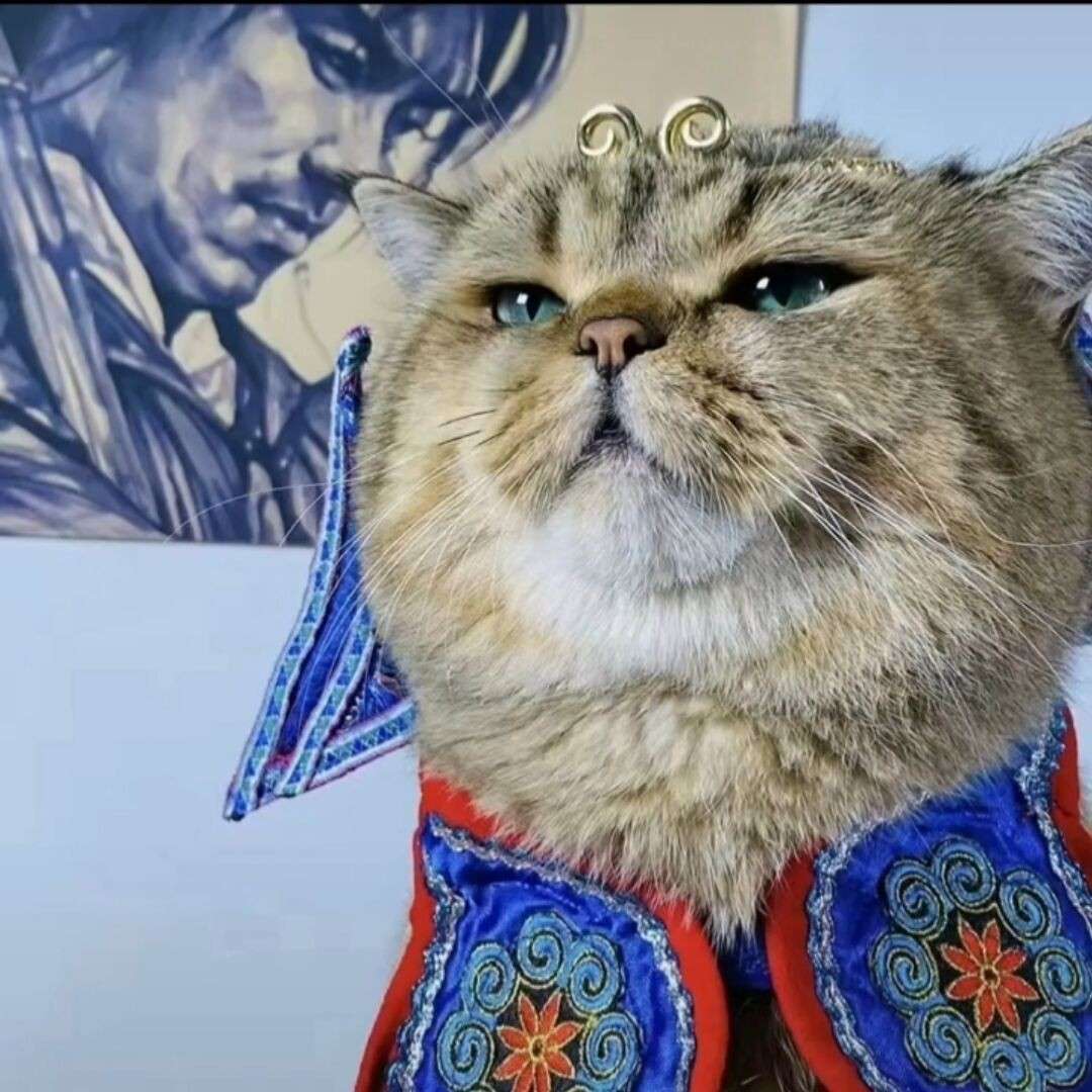 バカ的专辑