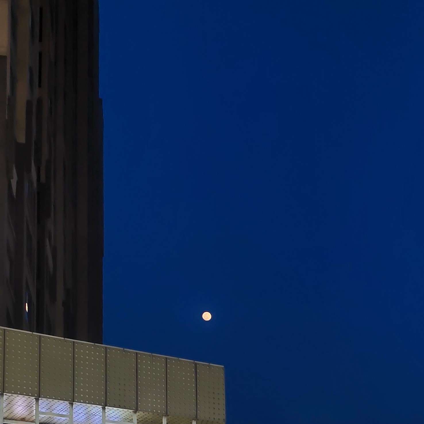 Moonlit
