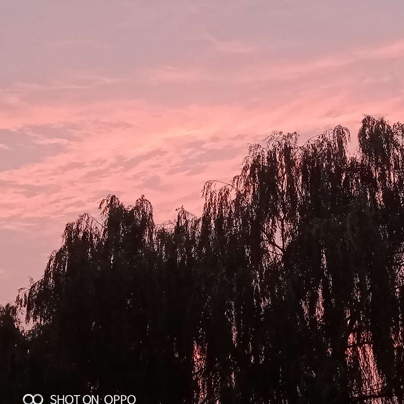 一起吃爆米花🍀的专辑