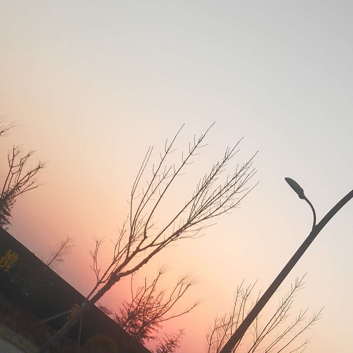 风景