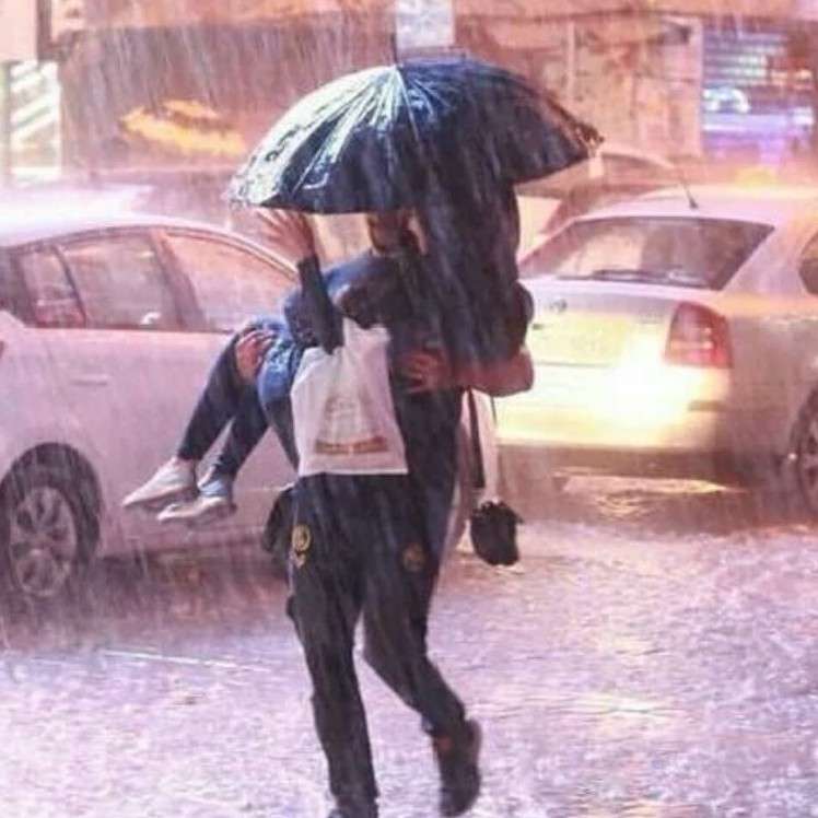 也许我爱上你了