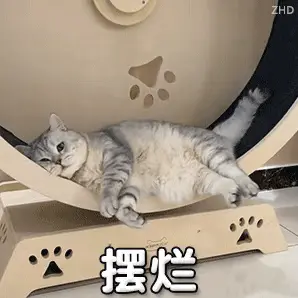 同感