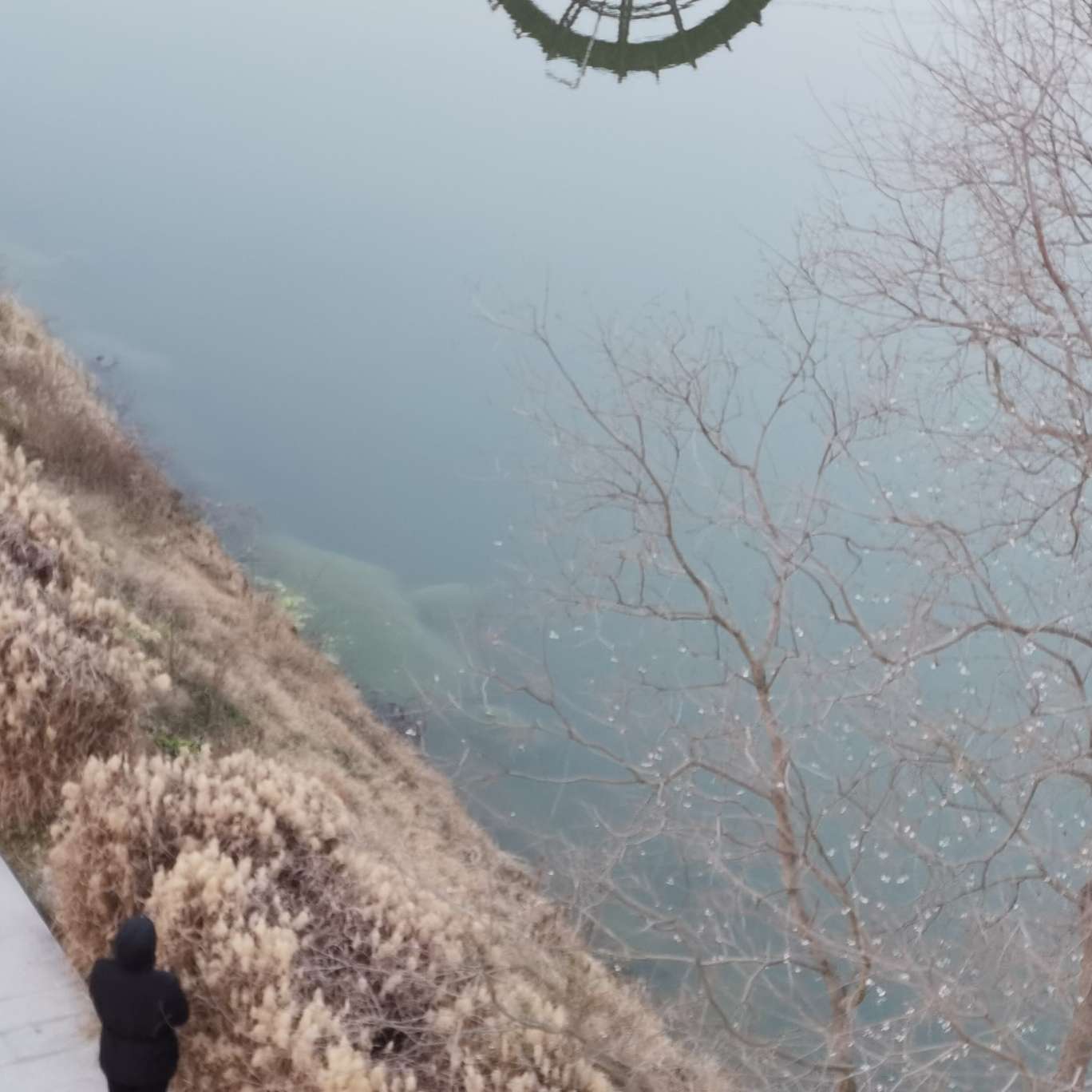 古风圈