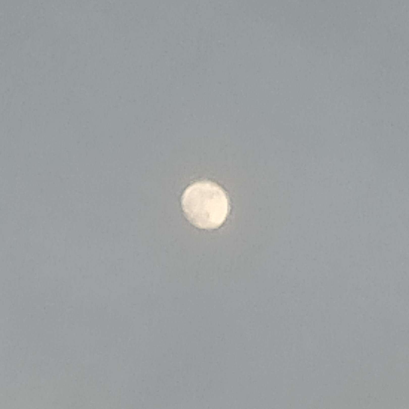 陈的瞎写