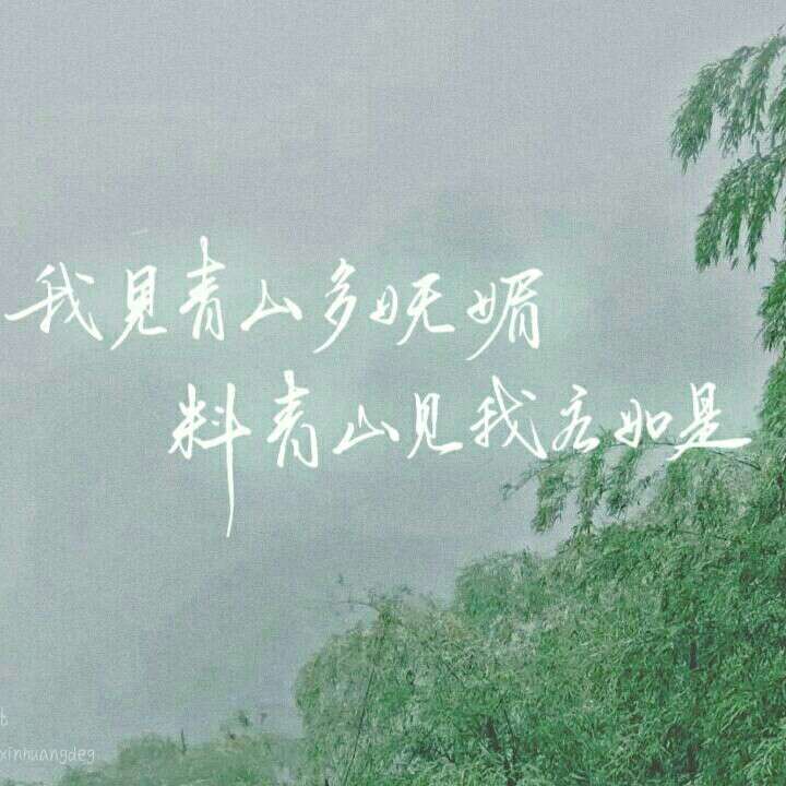 观南