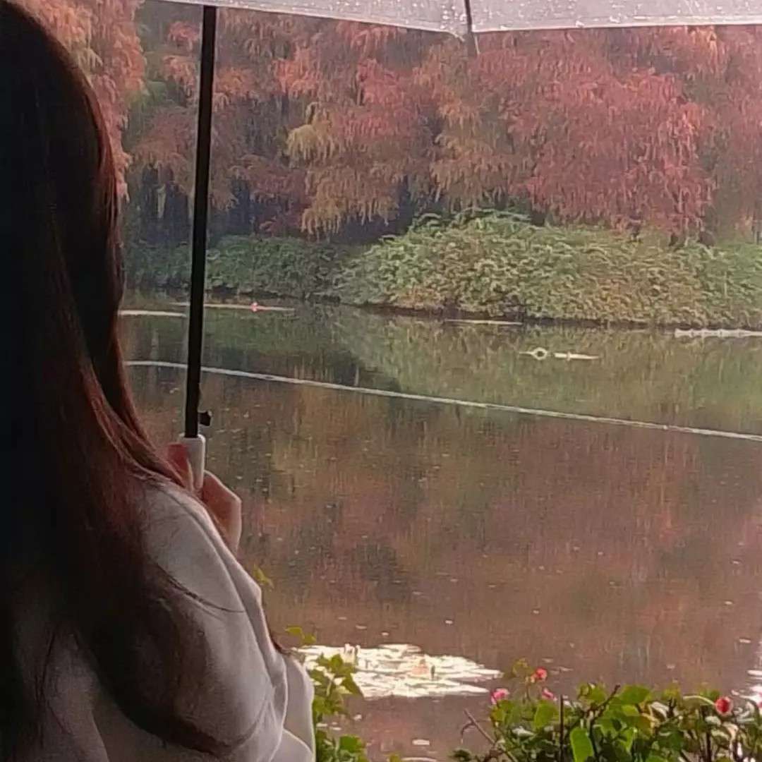 琳