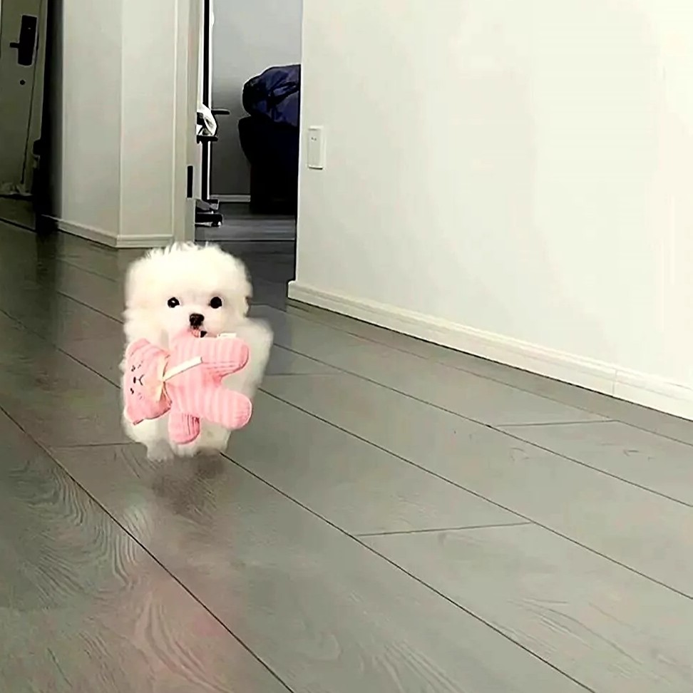自己