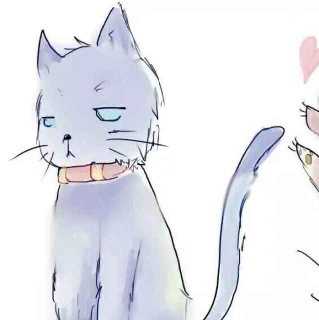二哈和他的白猫师尊
