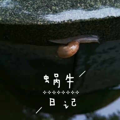 爱情