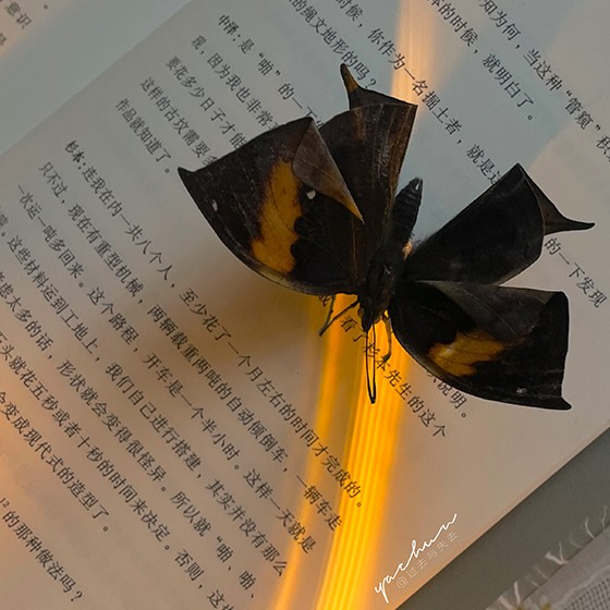 啊