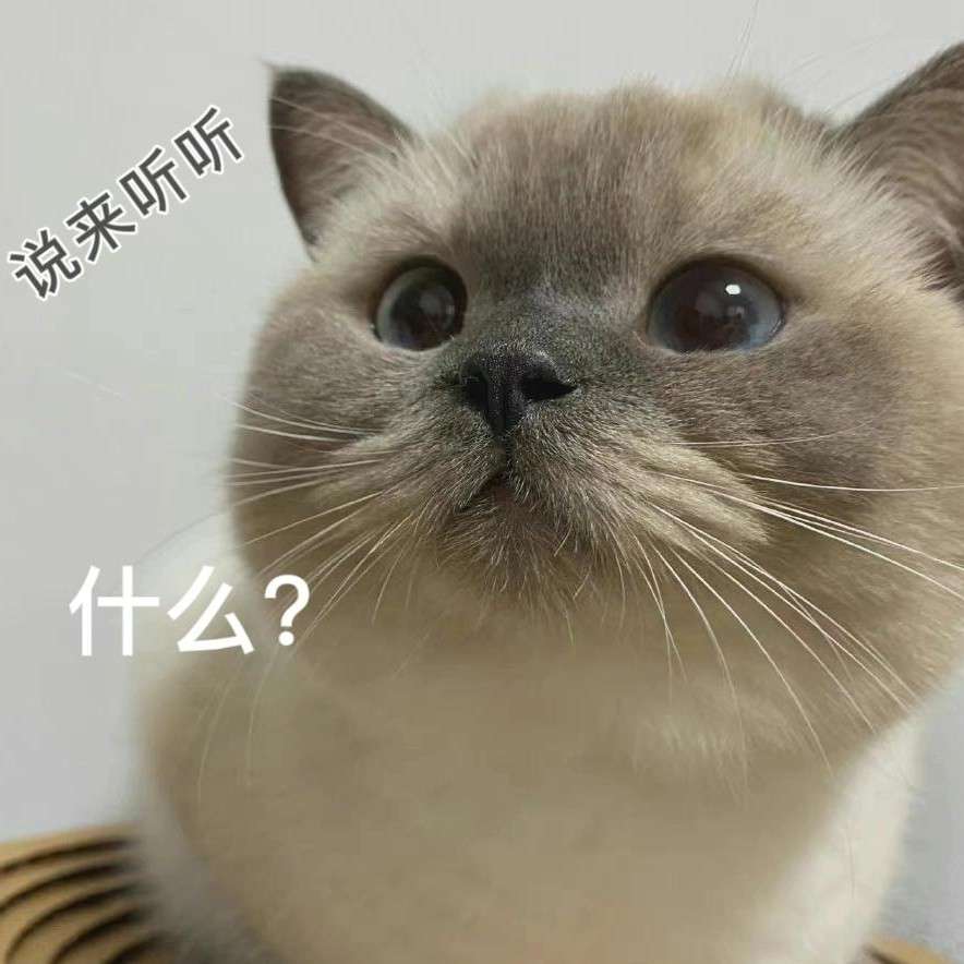 情话微甜