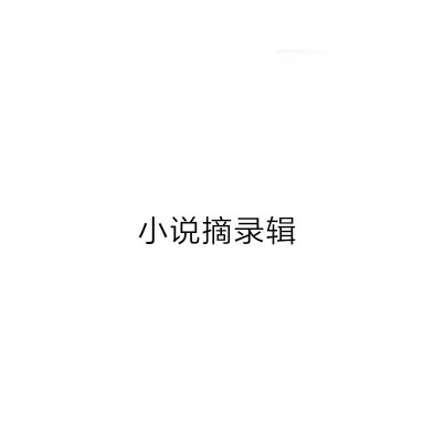 小说摘抄