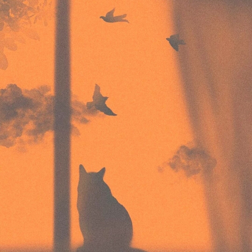 成长