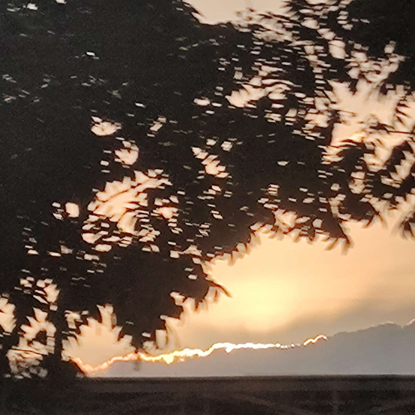 夜念即词