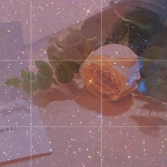 玫瑰