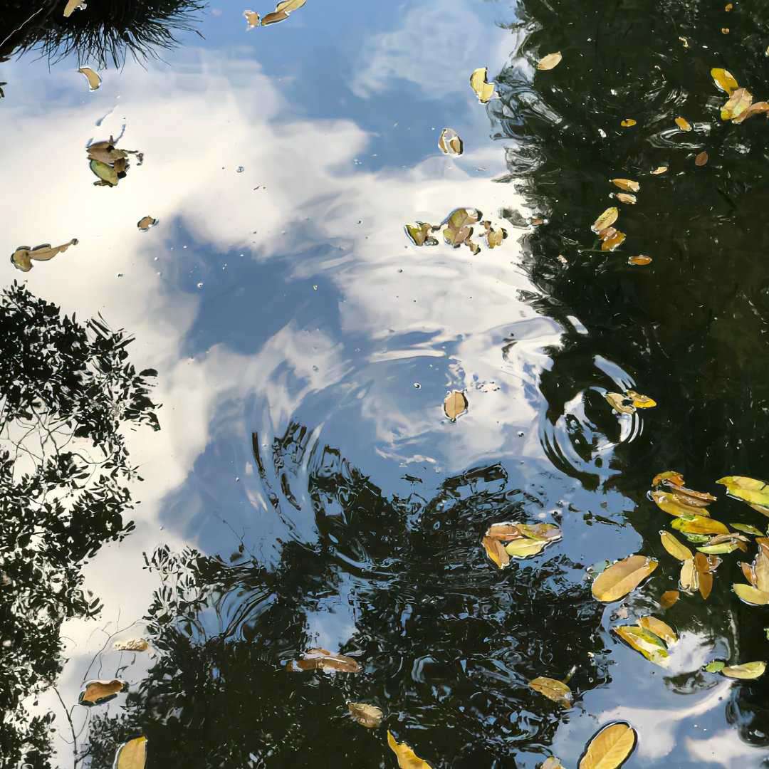 爱与恨进行曲