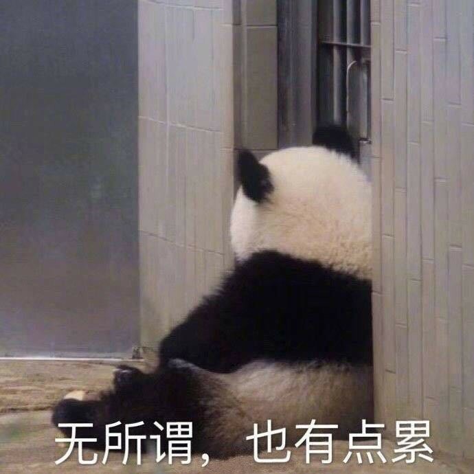 哈哈哈我爱啦